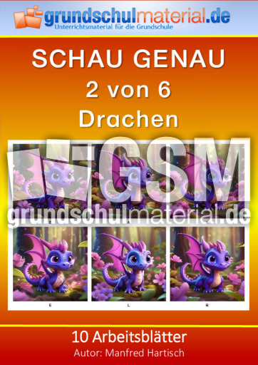 Drachen.pdf